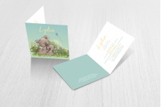 Koalabeertjes Koalabeertjes